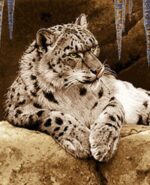 قیمت نخ و نقشه تابلو فرش پلنگ