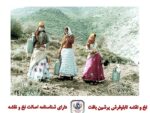 قیمت نخ و نقشه تابلو فرش چشمه
