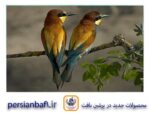 قیمت نخ و نقشه تابلوفرش دو قناری
