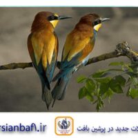 قیمت نخ و نقشه تابلوفرش دو قناری