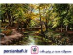قیمت نخ و نقشه منظره رودخانه در جنگل