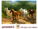 قیمت نخ و نقشه حیوانات اسب ها در جنگل
