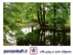 قیمت نخ و نقشه منظره تالاب در جنگل 