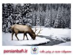 قیمت نخ و نقشه حیوانات گوزن شمالی