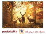 قیمت نخ و نقشه حیوانات گوزن ها در جنگل