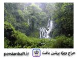قیمت نخ و نقشه جنگل سرسبز