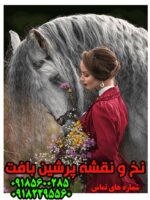 نخ و نقشه دلباخته