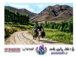 قیمت نخ و نقشه زوج روستایی