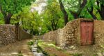 نخ و نقشه منظره کوچه جویبار