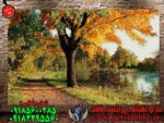 نخ و نقشه پارک طبیعی
