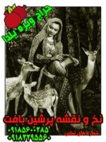 نخ و نقشه لبخند جنگل