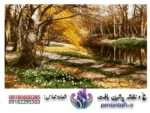 قیمت نخ و نقشه منظره جلوه پاییز
