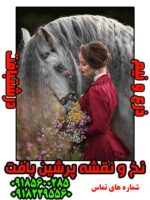 نخ و نقشه تابلوفرش دستبافت دلباخته