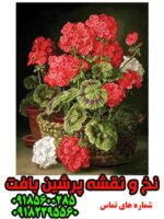 نخ و نقشه گل شمعدانی
