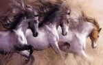 نخ و نقشه تابلوفرش به سوی آزادی
