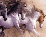 نخ و نقشه تابلوفرش به سوی آزادی