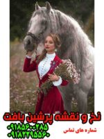 نخ و نقشه تابلوفرش دختر و اسب
