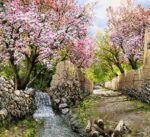 نخ و نقشه کوچه باغ بهاری جدید