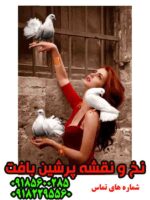 نخ و نقشه تابلوفرش همراز پرنده