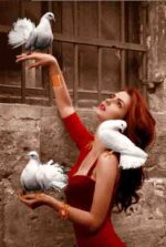 نخ و نقشه تابلوفرش همراز پرنده