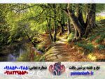قیمت نخ و نقشه تابلوفرش منظره تالاب زیبا