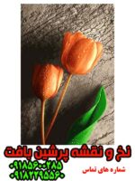 نخ و نقشه گل لاله