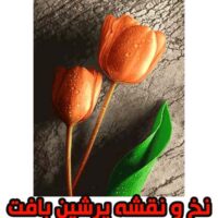 نخ و نقشه گل لاله