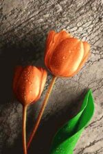نخ و نقشه گل لاله
