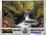 نخ و نقشه آبشار گل سرخابی