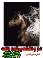 نخ و نقشه اسب پریشان
