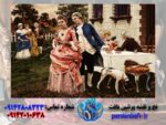 قیمت نخ و نقشه فرانسوی مهمانی در دهکده