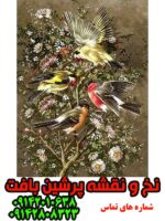 نخ و نقشه تابلوفرش قناری ها