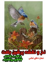 نخ و نقشه پرندگان زیبا