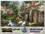 نخ ونقشه تبریز روستای عمو حیدر