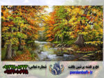 نخ ونقشه تبریز رودخانه ای در جنگل پاییزی