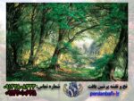 نخ و نقشه تبریز منظره جنگل سبز