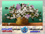نخ و نقشه بد گل لاله 570 گره
