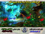 نخ و نقشه تابلوفرش طاووس نفیس