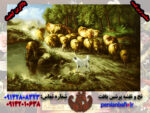نخ و نقشه تابلوفرش سگ گله