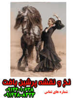 نخ و نقشه زن سیاهپوش و اسب