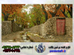 نخ و نقشه کوچه باغ رنگبندی فوق العاده