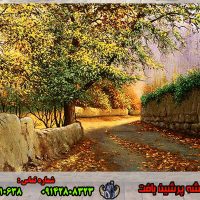 کوچه باغ روستایی نخ و نقشه تبریز