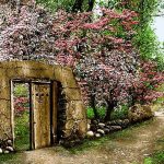 قیمت نخ و نقشه منظره کوچه باغ شکوفه زیبا