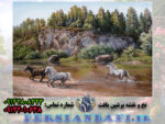 نخ و نقشه طبیعت زیبای وحشی