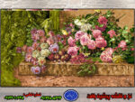 نخ و نقشه گل و گلدان و قناری ها