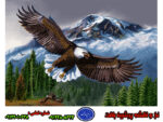 نخ و نقشه عقاب و کوهستان