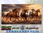 نخ و نقشه فرار اسبها در غروب آفتاب