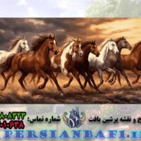 نخ و نقشه فرار اسبها در غروب آفتاب